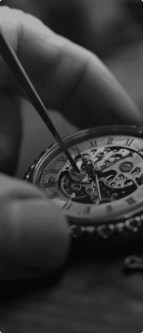 Experienced Professionals